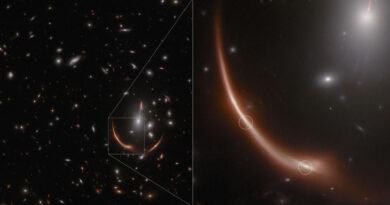 Deze NIRCam/Webb-afbeeldingen tonen de meervoudig afgebeelde supernova Encore in het verre sterrenstelsel MRG-M0138.