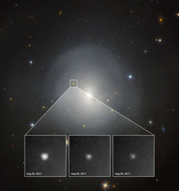 Hubble observeerde hoe de kilonova in de loop van zes dagen geleidelijk vervaagde, zoals blijkt uit deze waarnemingen die tussen 22 en 28 augustus werden gedaan (inzet).