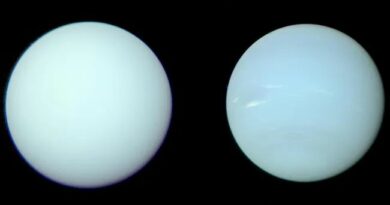 Een afbeelding van Uranus aan de linkerkant en Neptunus aan de rechterkant. Ze zien er bijna niet te onderscheiden uit, omdat ze allebei lichtblauw zijn.