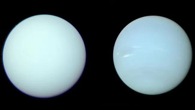 Een afbeelding van Uranus aan de linkerkant en Neptunus aan de rechterkant. Ze zien er bijna niet te onderscheiden uit, omdat ze allebei lichtblauw zijn.