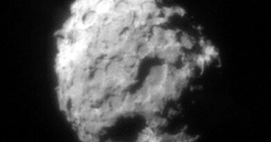 Komeet 81P/Wild 2. Image credit: NASA.