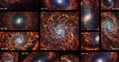 Deze verzameling van 19 tegenover elkaar staande spiraalstelsels van Webb in nabij- en midden-infraroodlicht is tegelijk overweldigend en ontzagwekkend.