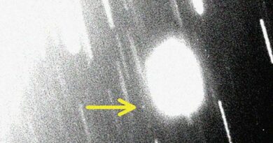 een zwart-wit, wazig beeld met veel witte strepen. Midden rechts zit een witte vlek. Helemaal links daarvan wijst een gele pijl.