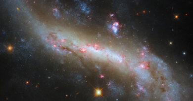 NGC 4731 in het sterrenbeeld Maagd - Virgo