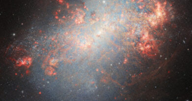 Deze afbeelding, gemaakt door de Gemini North-telescoop, de helft van het International Gemini Observatory, toont het sterrenstelsel NGC 4449.