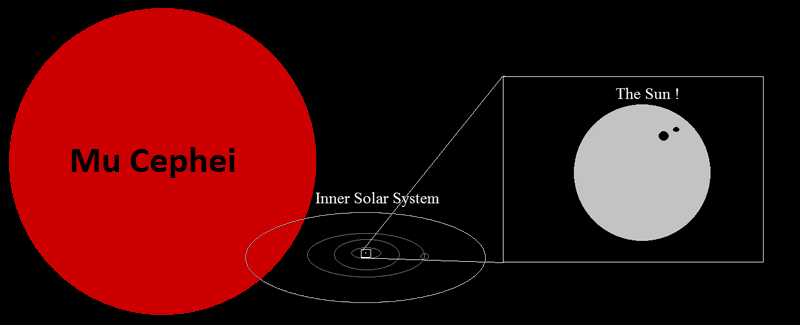 Mu Cephei vergeleken met de Zon