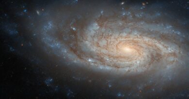 Deze Hubble-opname toont NGC 3430,
