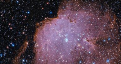 Deze Hubble-opname toont NGC 261, een emissienevel op een afstand van 200.000 lichtjaar van de Aarde in het sterrenbeeld Tucana – Toekan.