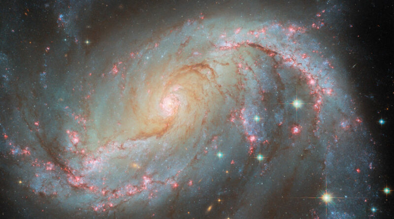 NGC 1672 in het sterrenbeeld Dorado - Goudvis