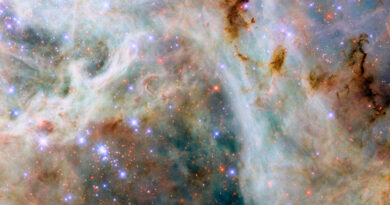 Deze Hubble-opname toont een deel van de Tarantulanevel.