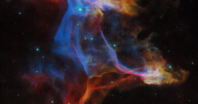 Deze Hubble-opname toont een deel van de Sluiernevel.