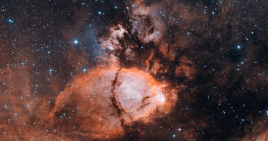 IC 1795 - de Vissenkopnevel in het sterrenbeeld Cassiopeia.