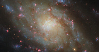 Deze Hubble-afbeelding toont NGC 5042