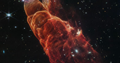 HH 49/50 vastgelegd door de Webb Space Telescope