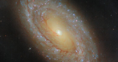 NGC 4941 vastgelegd door de Hubble Space Telescope