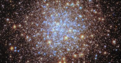 Deze Hubble-foto toont Messier 72, een bolvormige sterrenhoop op zo'n 50.000 lichtjaar afstand in het sterrenbeeld Waterman.