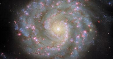 NGC 3596 in het sterrenbeeld Leo - Leeuw