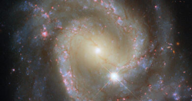 Deze Hubble-opname toont NGC 3507, een balkspiraalstelsel op een afstand van ongeveer 46 miljoen lichtjaar in het sterrenbeeld Leo – Leeuw.