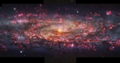 Deze  VLT/MUSE toont een gedetailleerde, duizend kleurenopname van NGC 253.
