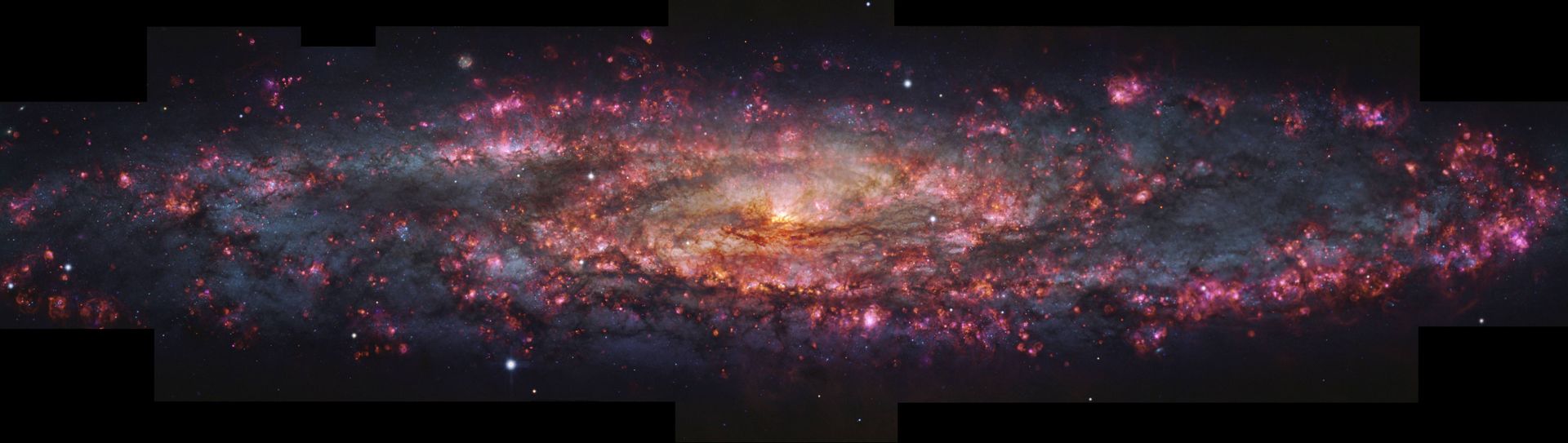 Deze VLT/MUSE toont een gedetailleerde, duizend kleurenopname van NGC 253.