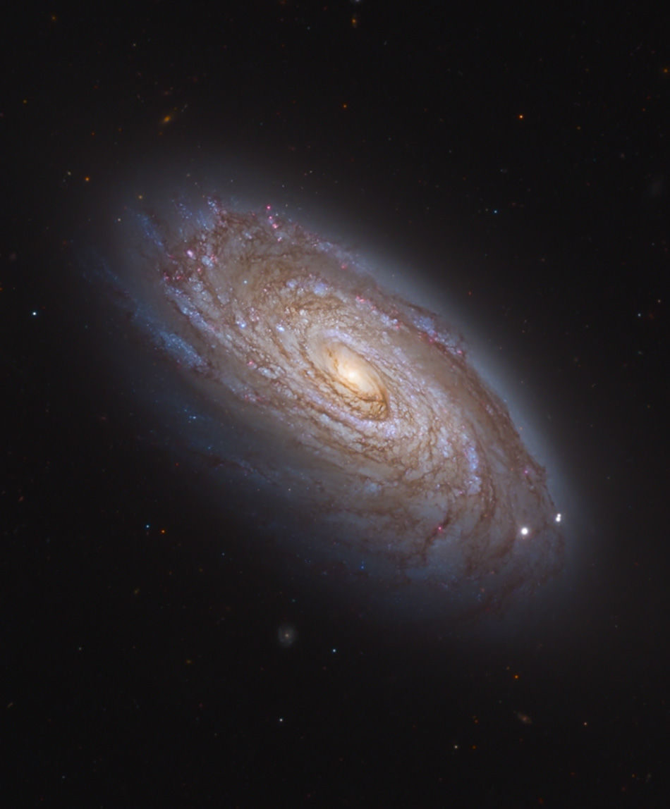 Het spiraalstelsel Messier 88 - NGC 4501