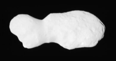 asteroïde Donald Johanson