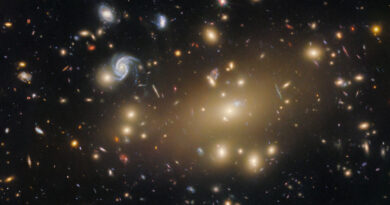 Deze Hubble-opname toont Abell 209, een cluster van sterrenstelsels op ongeveer 2,8 miljard lichtjaar afstand in het sterrenbeeld Walvis.
