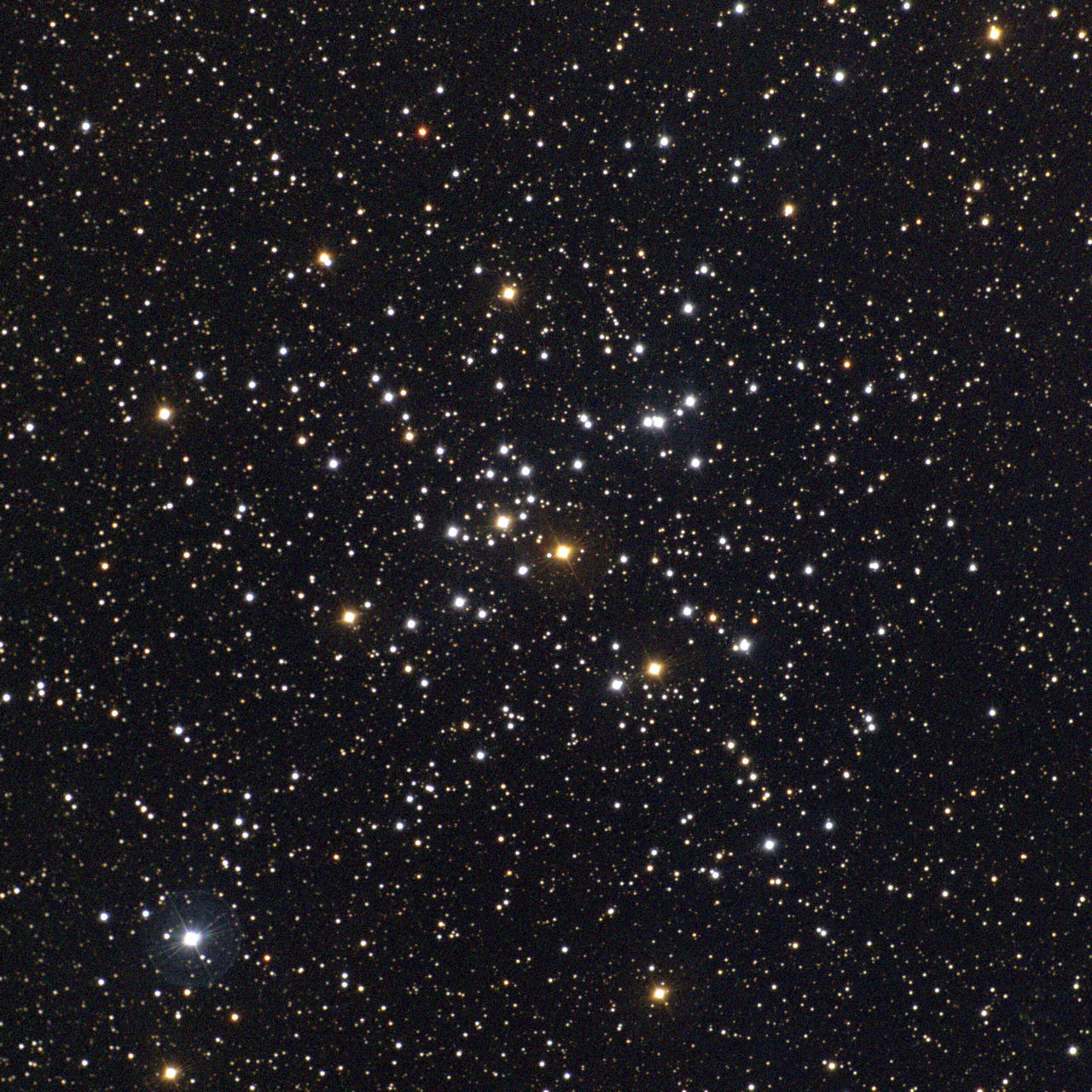 Messier 41 - NGC 2287 in het sterrenbeeld Canis Major - Grote Hond