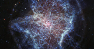Webb/MIRI-opname van NGC 6072