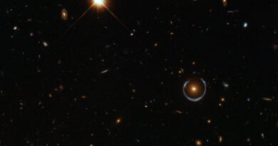 Het Cosmic Horseshoe-systeem