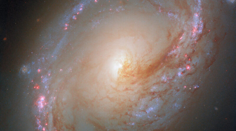 Deze Hubble-opname toont Messier 96, een spiraalstelsel op zo'n 34 miljoen lichtjaar afstand in het sterrenbeeld Leeuw.