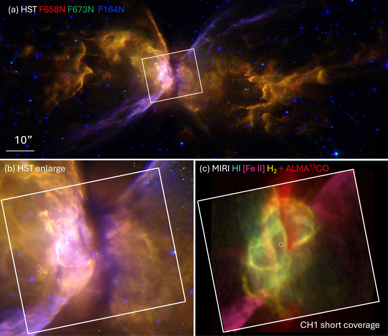 Hubble- en Webb/ALMA-beelden van de Vlindernevel.