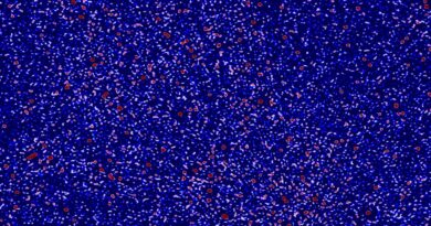 Een klein deel van de hemel, waargenomen in radiogolven door de Murchison Widefield Array.