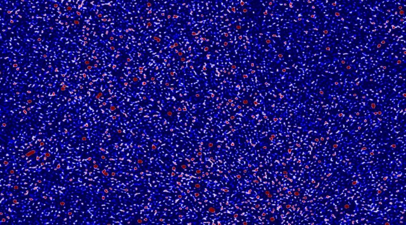 Een klein deel van de hemel, waargenomen in radiogolven door de Murchison Widefield Array.