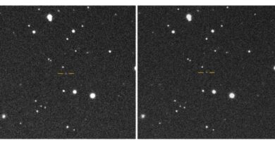 Astronomen ontdekten 2025 SC79, een “schemerasteroïde” waarvan de baan wordt overschaduwd door de gloed van de zon.