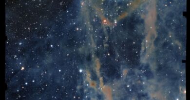 De Euclid-ruimtetelescoop van ESA maakte deze opname van de donkere wolk LDN 1641.