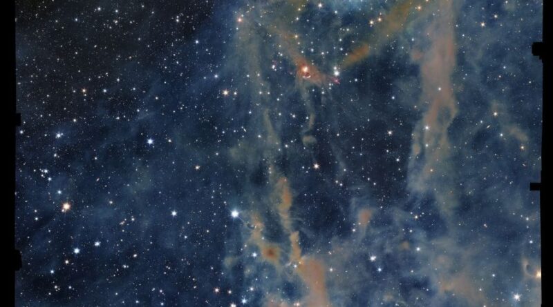 De Euclid-ruimtetelescoop van ESA maakte deze opname van de donkere wolk LDN 1641.