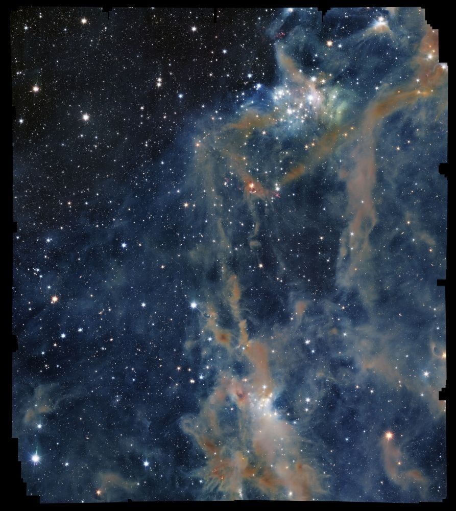 De Euclid-ruimtetelescoop van ESA maakte deze opname van de donkere wolk LDN 1641.